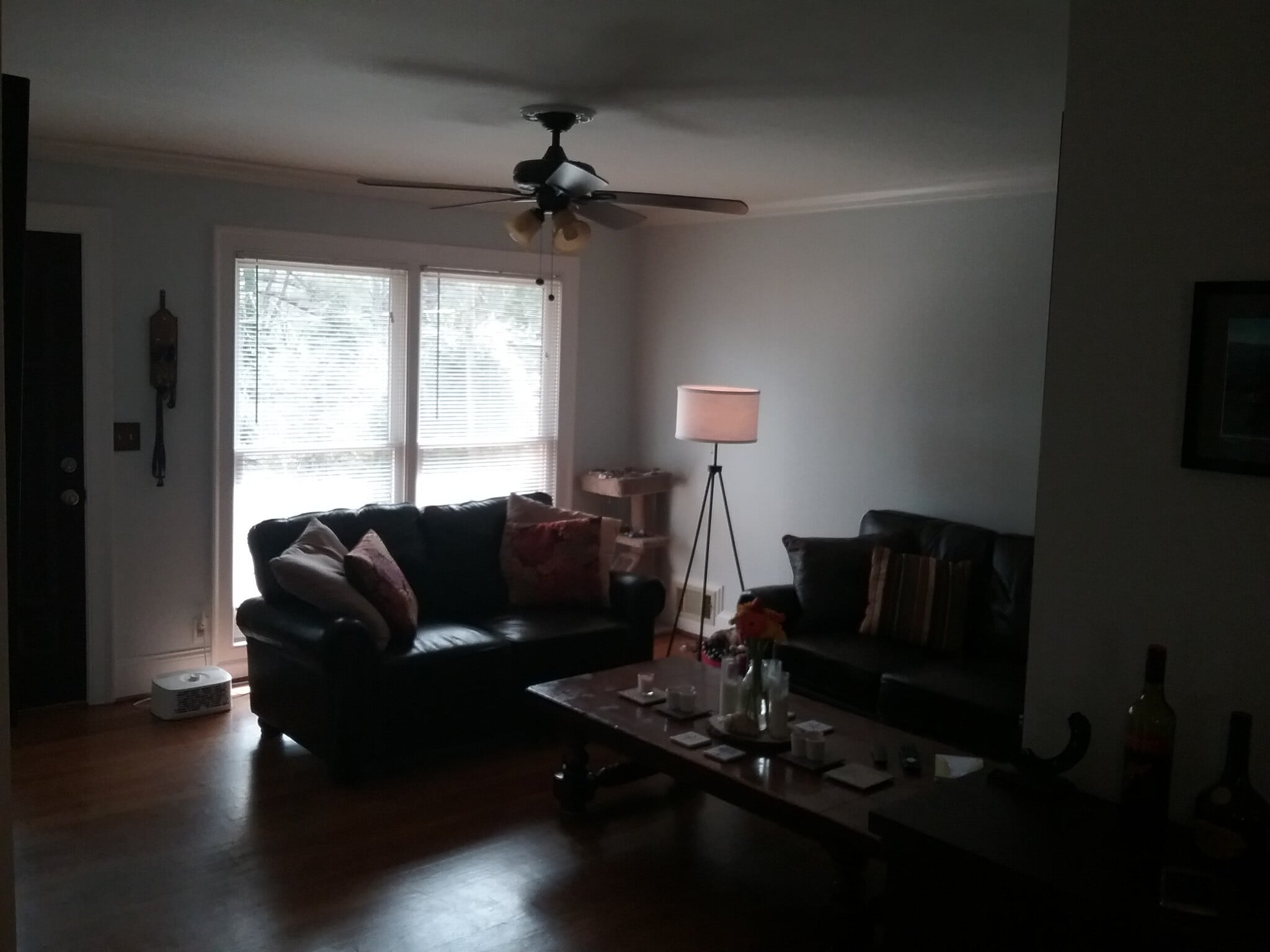 Hardwoods throughout and large windows to bring in natural light - 701 Rosalyn Dr