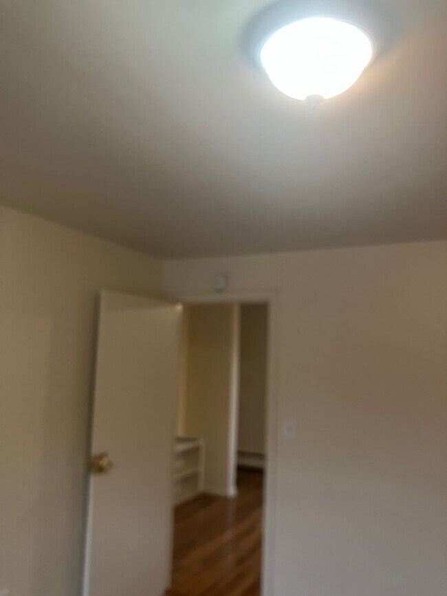 Building Photo - 114 Olivia St