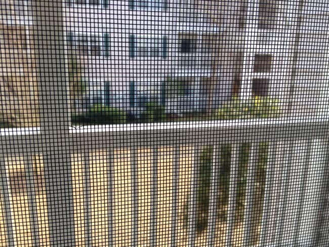 Building Photo - 3741 Block House Way