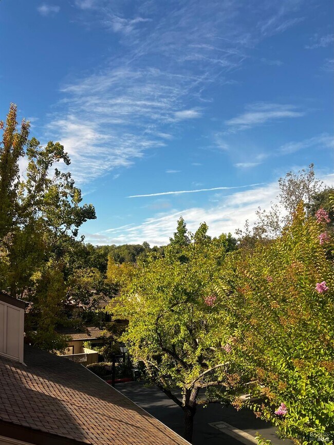 Building Photo - 6 Josefa Ct