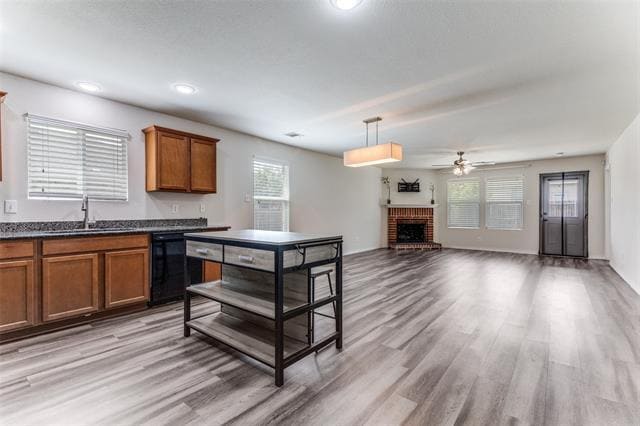 Building Photo - 10013 Amosite Dr