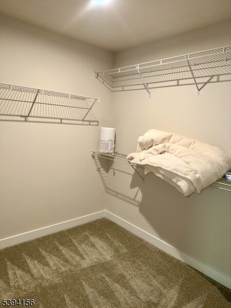 Building Photo - 8 Owen Ct