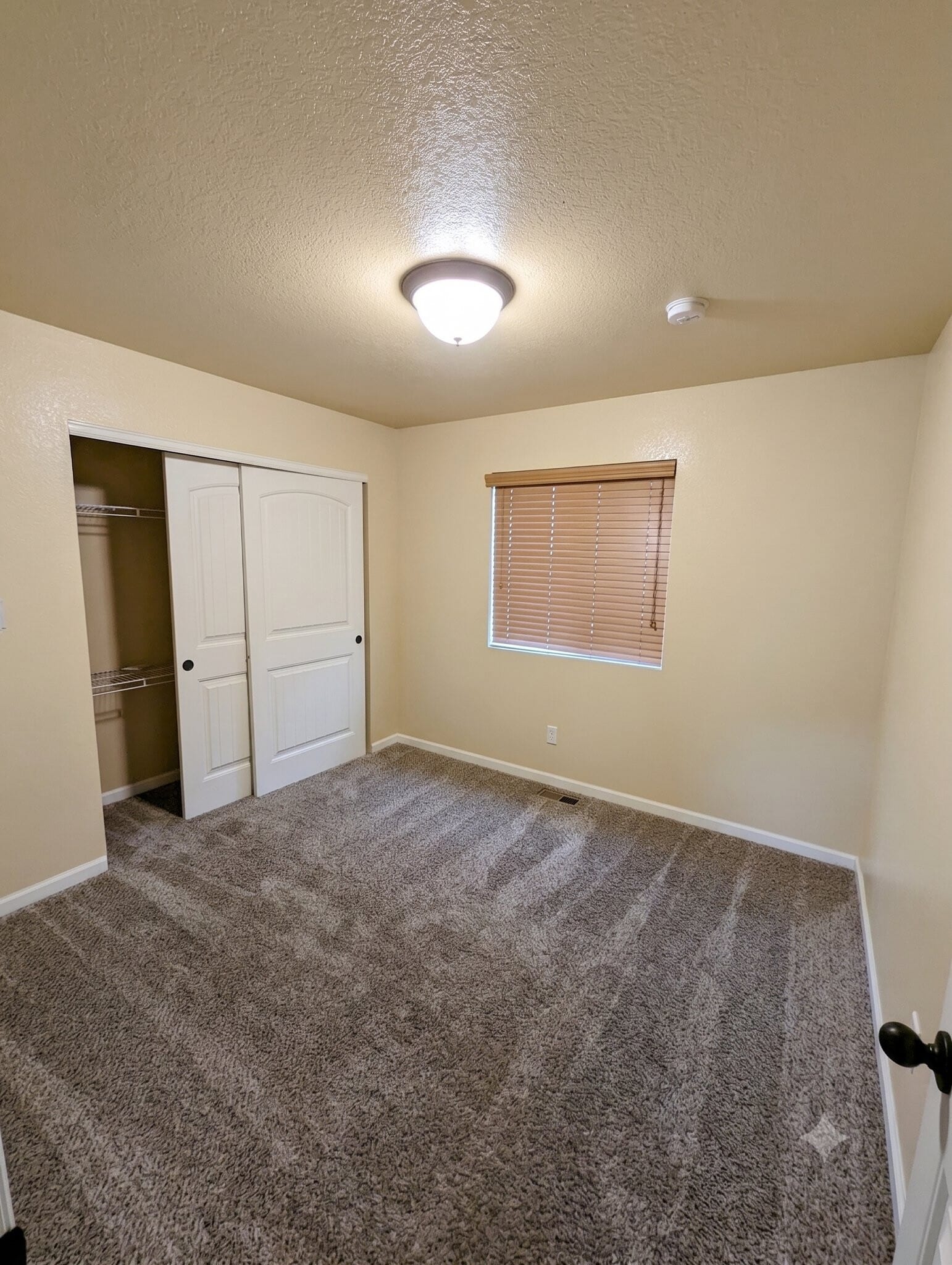 Building Photo - 246 Primrose Dr