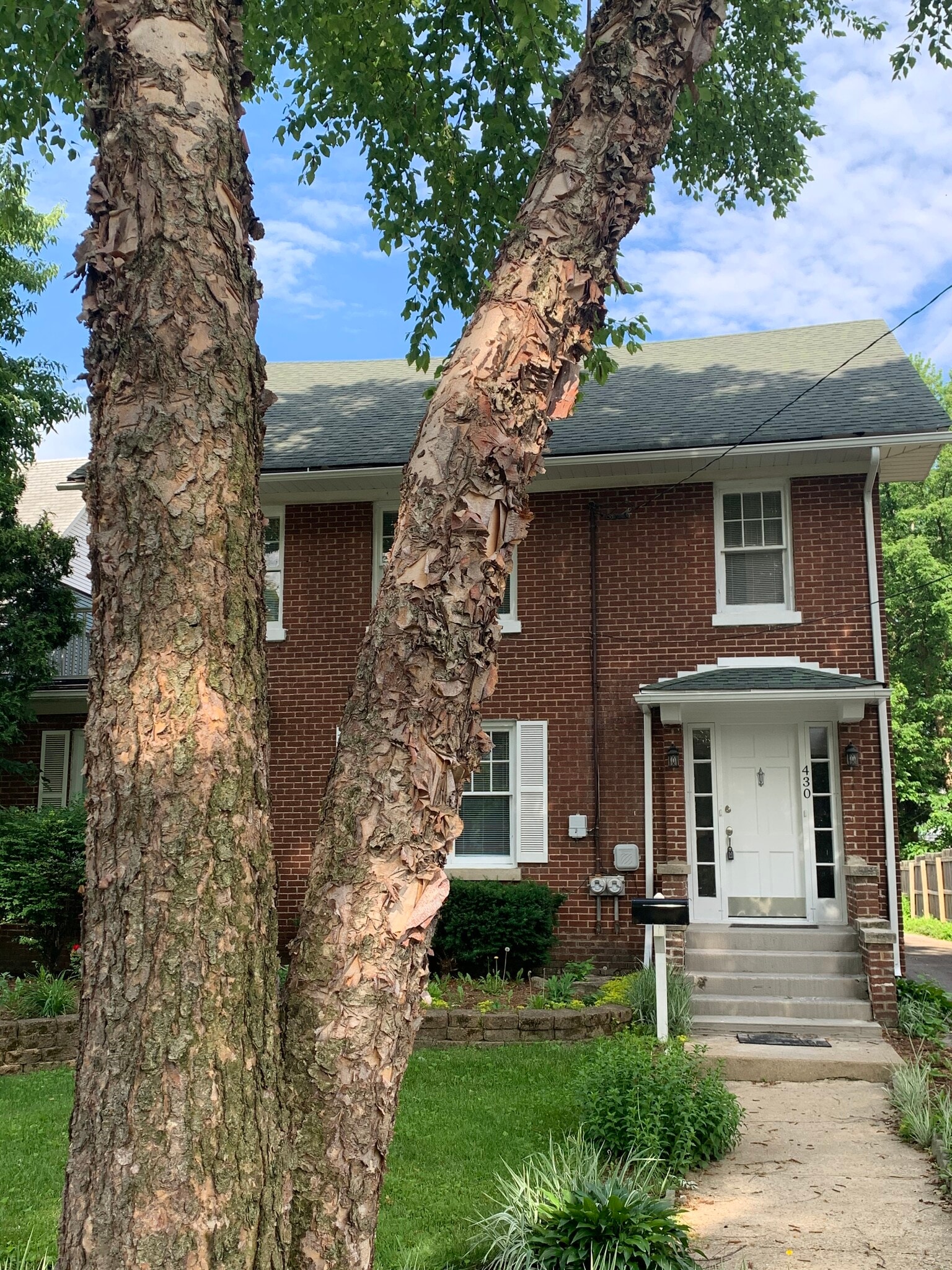 Building Photo - 430 Grand Ave