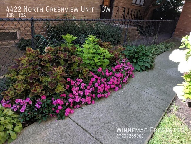 Building Photo - 4422 N Greenview Ave