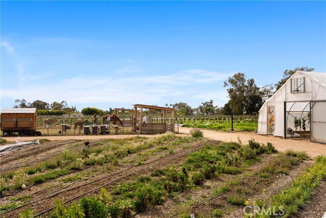 Building Photo - 1101 Catania Ct