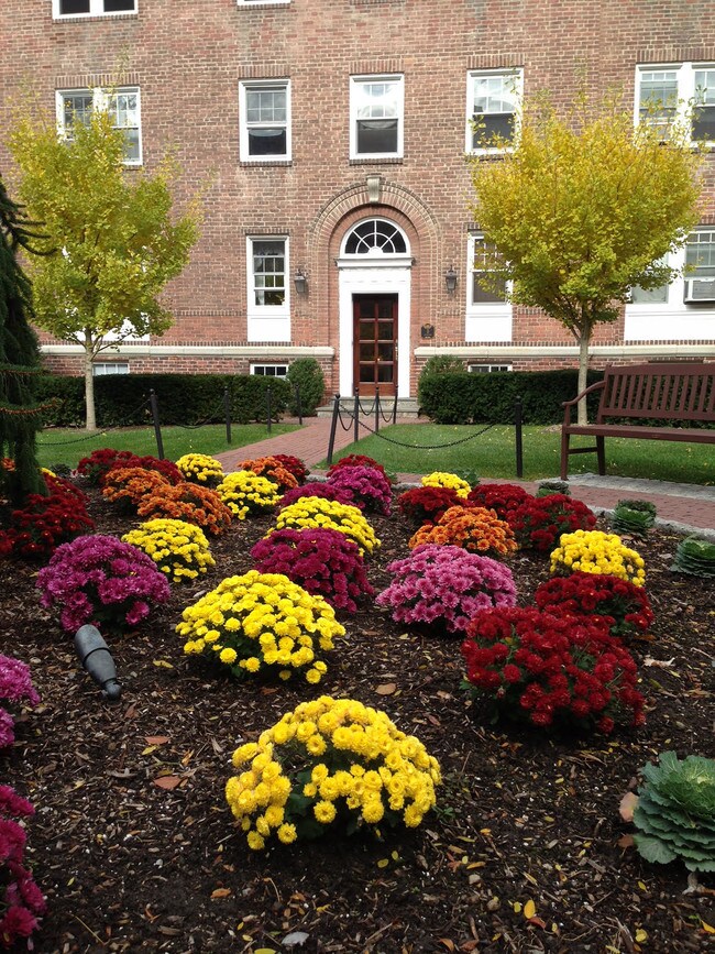 131 Purchase St 131 Purchase St Rye NY 10580 Apartment Finder