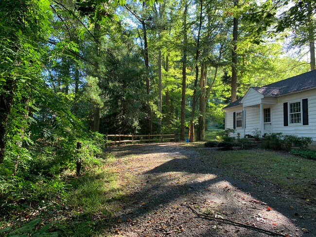 Lots of trees - 5 Cliffholme Rd