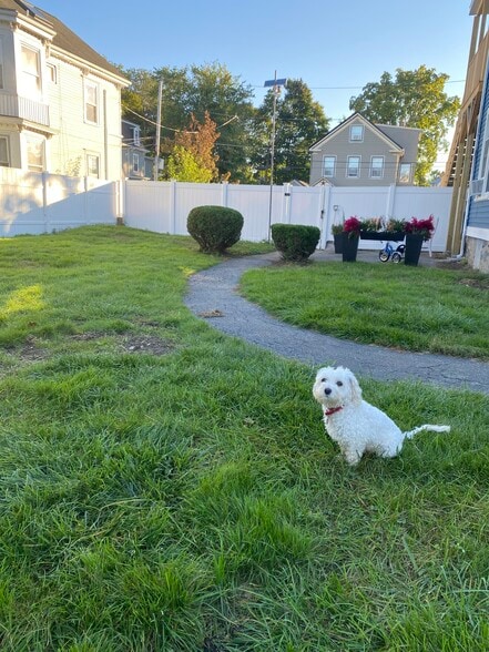Fully fenced in back yard. - 8 Avon St