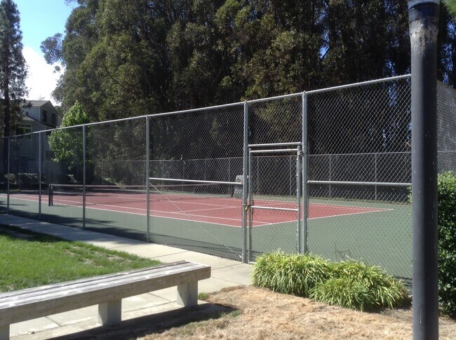 Building Photo - Single Level Lower Condo at Woodside Terrace