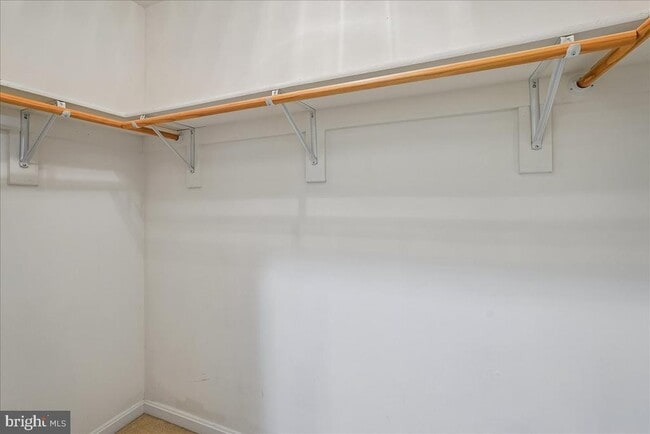 Building Photo - 905 Royal Elm Ct