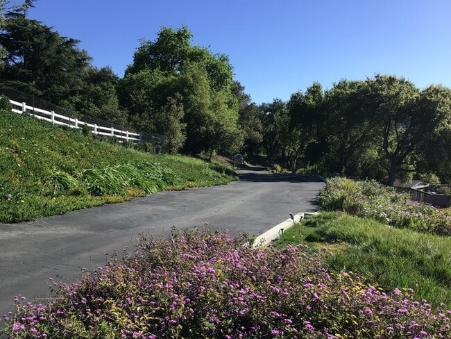 Building Photo - LUXURIOUS PRIVATE STUDIO WITH BREATH TAKING VIEWS