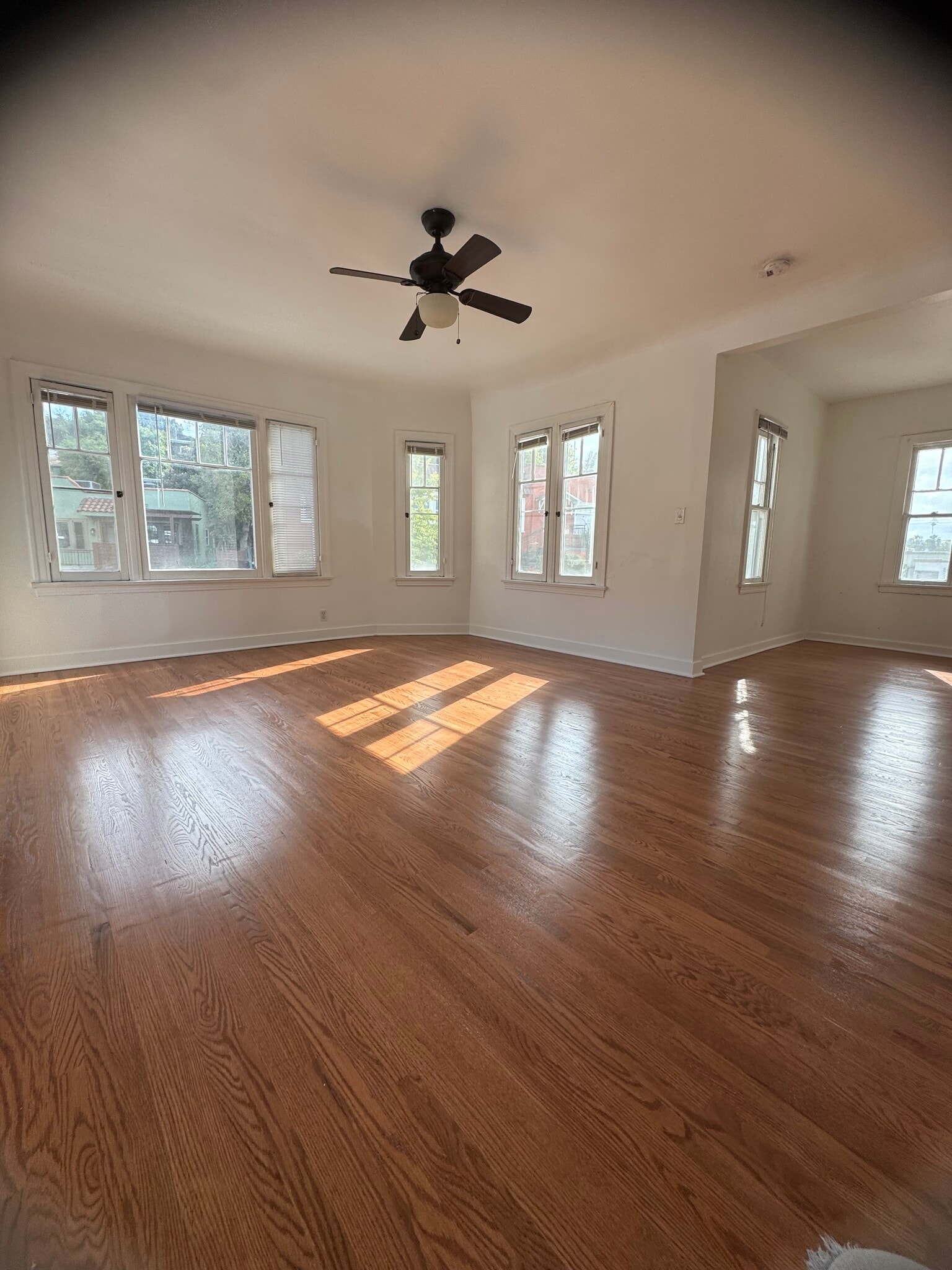 Living space front corner view - 3350 Hamilton Way