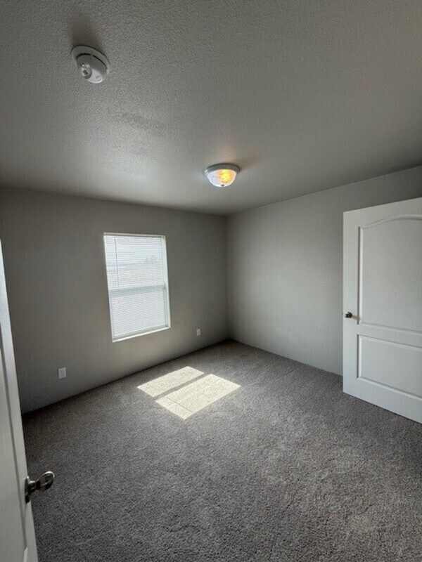 Building Photo - 8446 Sunrise Way