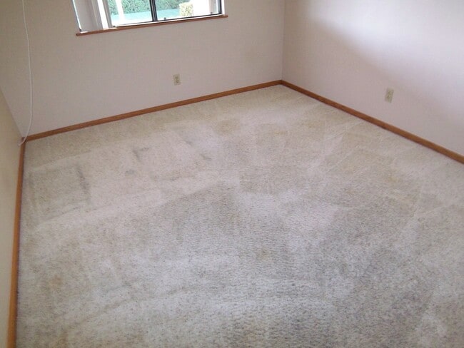 Building Photo - Charming 3Br/2Ba Single Story House W/3 Ca...
