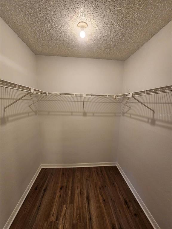 Building Photo - 607 Koala Ct