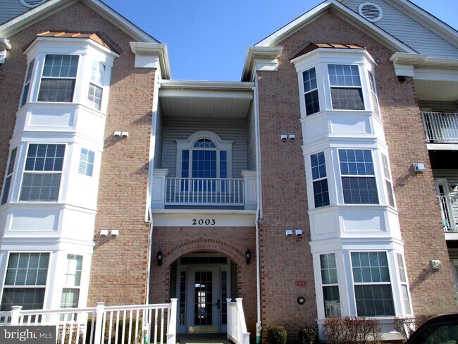 Building Photo - 2003 Phillips Terrace
