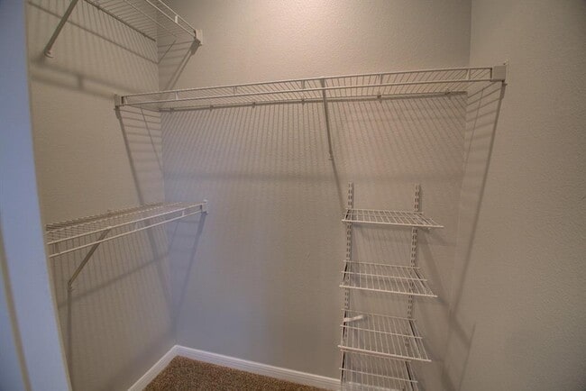 Building Photo - 2320 Gracy Farms Ln