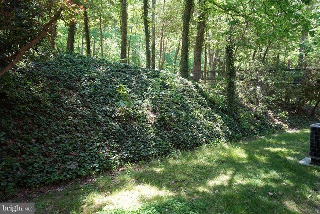 Building Photo - 23247 White Birch Ct