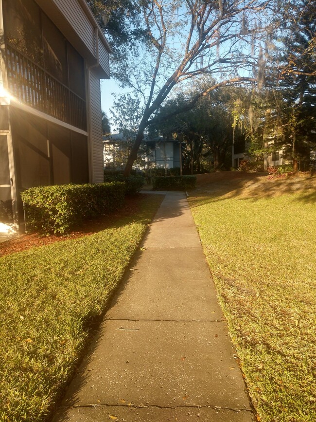 Building Photo - 2 Bedroom/2 Bath Palm Harbor Condo