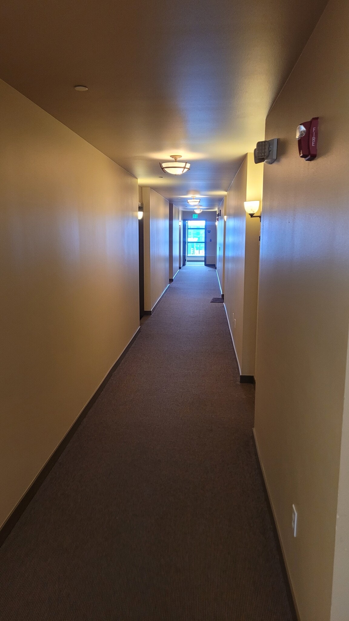Clean, well lit hallways - 4116 California Ave SW