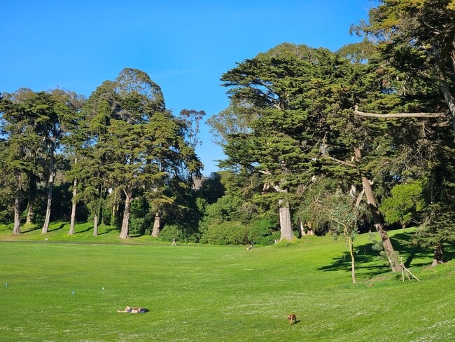 Building Photo - 1498 9th Ave