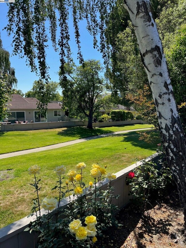 Building Photo - 535 Cambrian Way