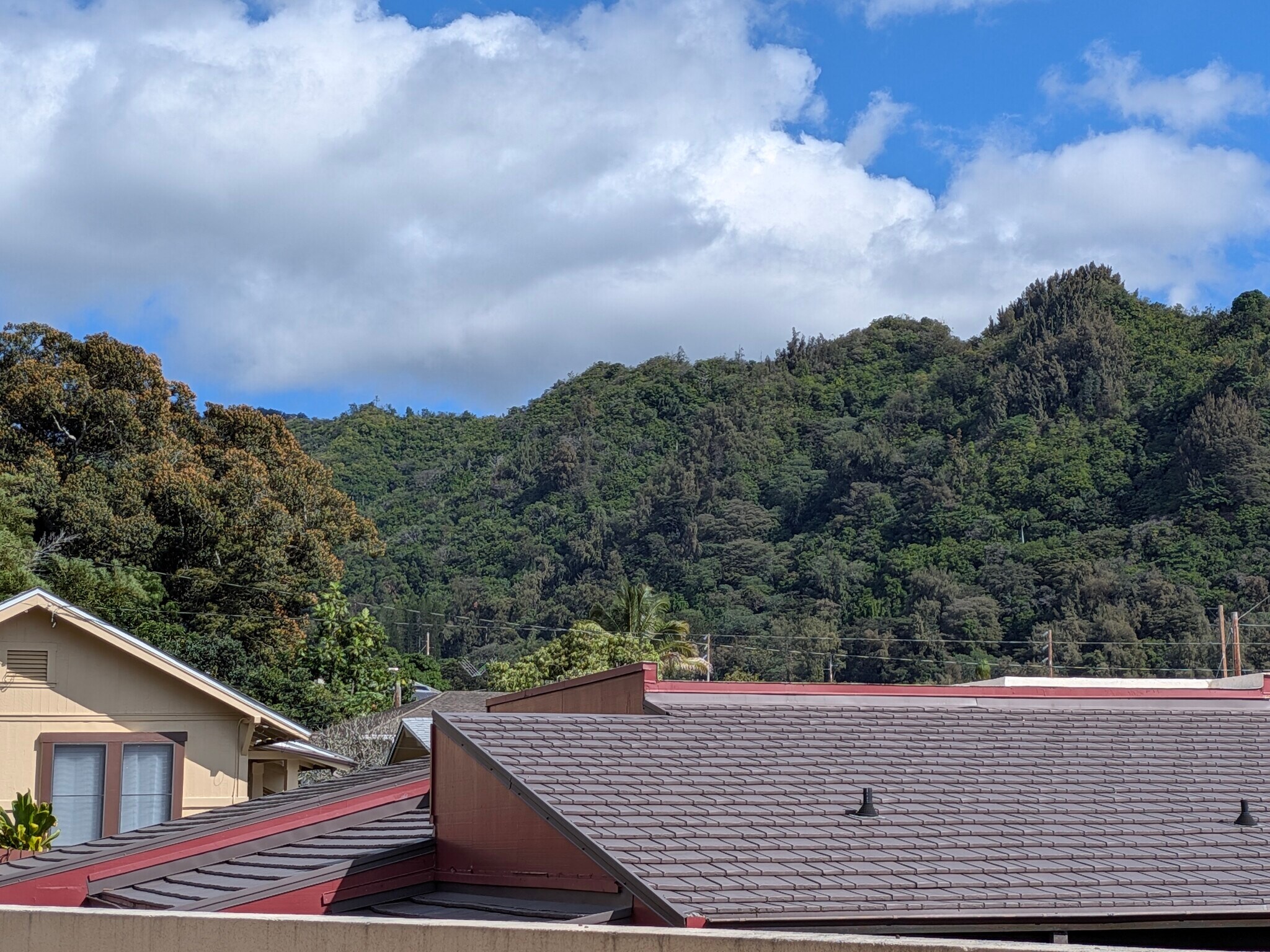 Building Photo - 2825 Pali Hwy