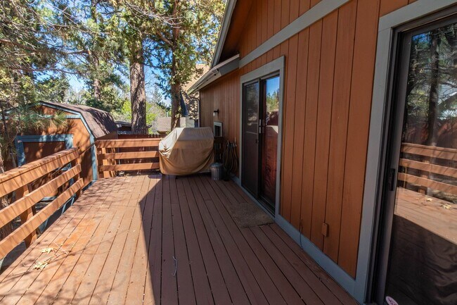 Building Photo - Sugarloaf Cutie