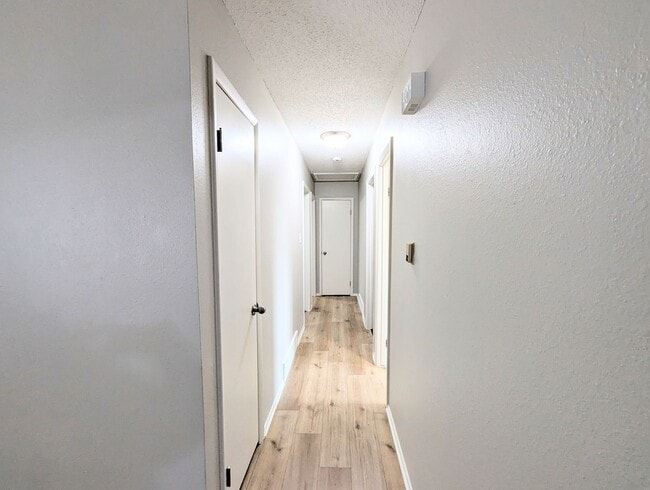 Building Photo - Great 3 Bedroom, 1 Bath Home