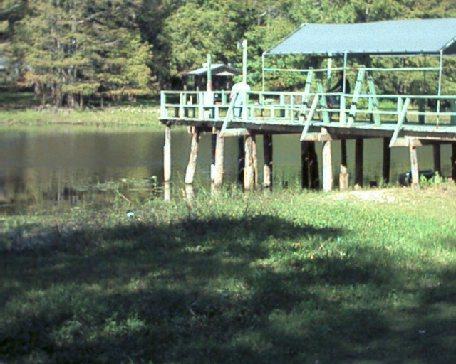 Fishing Pier/Dock - Duval Paradise RV/MH Park