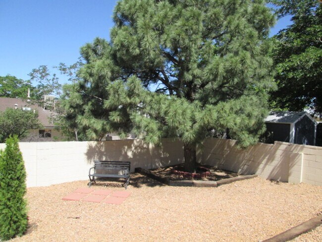 Building Photo - 1233 Stutz Dr NE