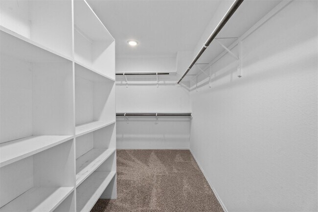 Building Photo - 5210 Adria Hills Cir
