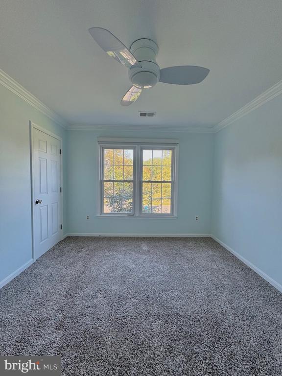 Building Photo - 12102 Snow Shoe Ct
