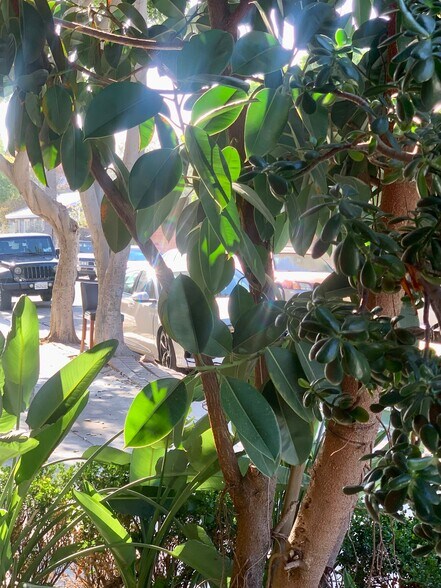 Building Photo - 1426 E Florida St