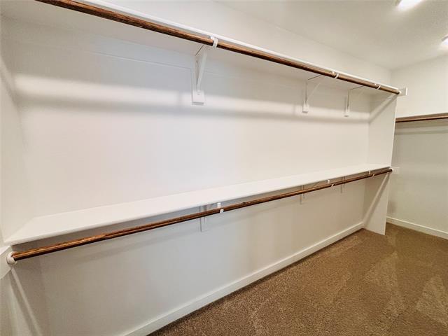 Building Photo - 4508 Hogan's Alley Dr