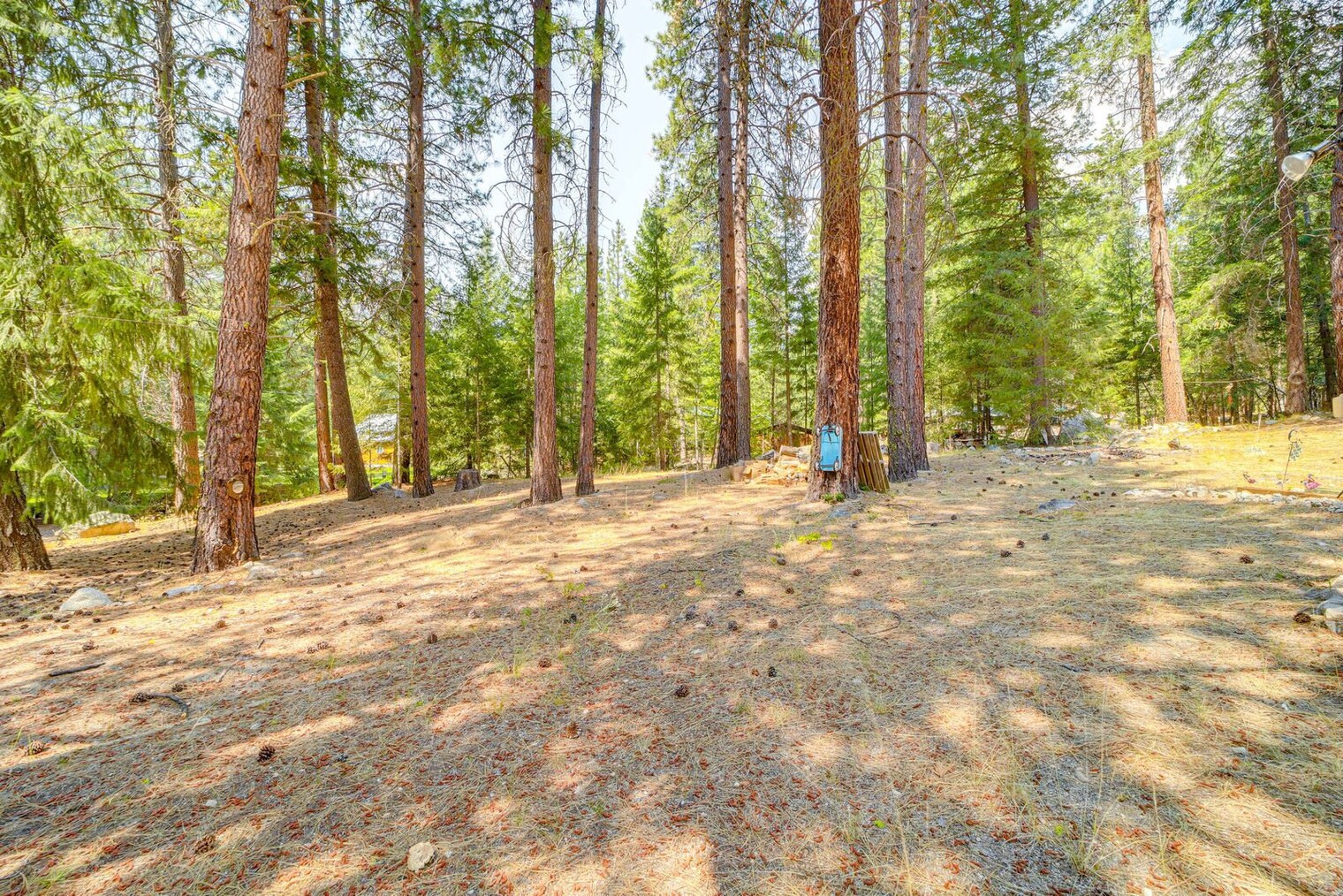 Building Photo - 16934 Tyee Dr