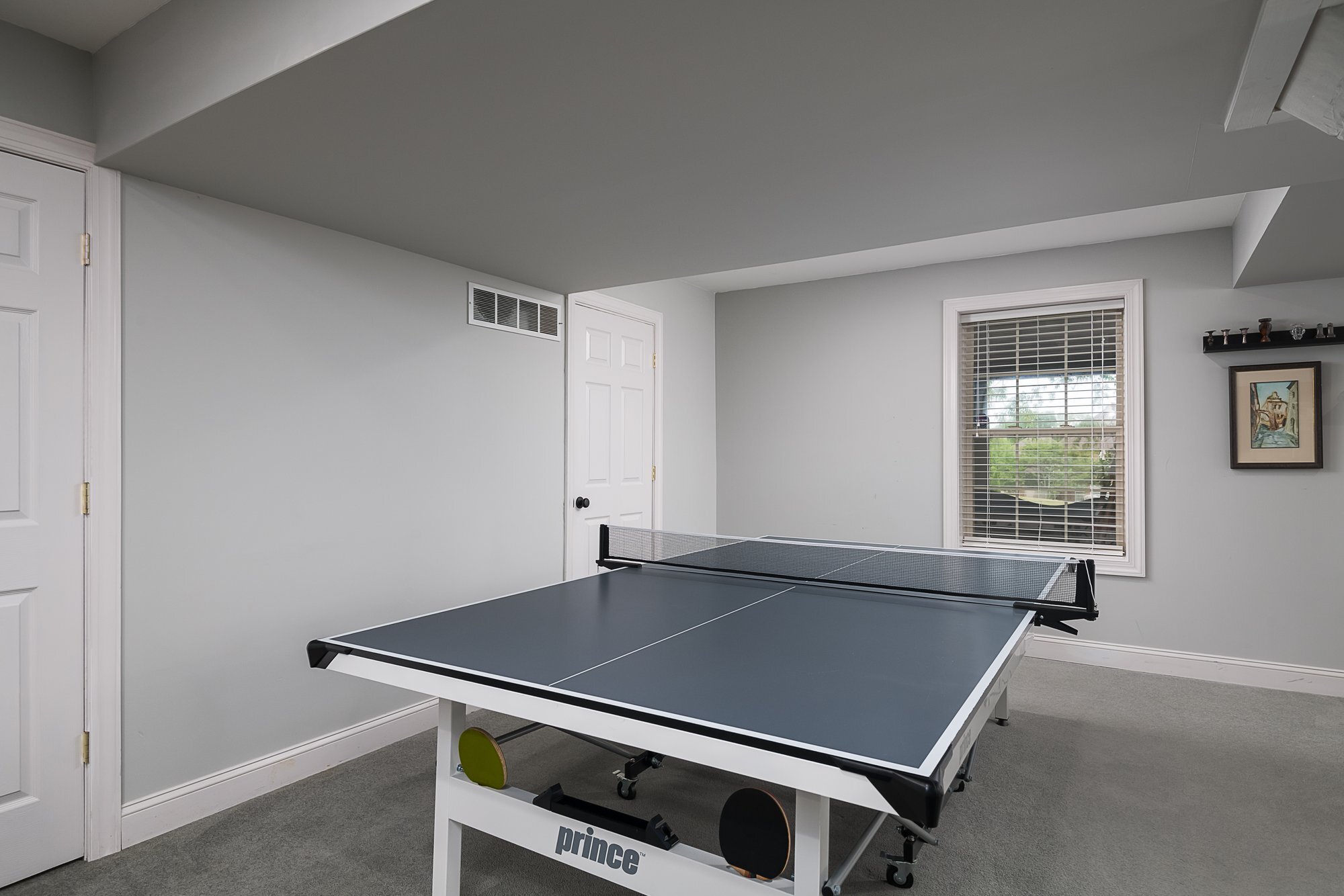 Walkout Basement - 665 Winter Hill Ln