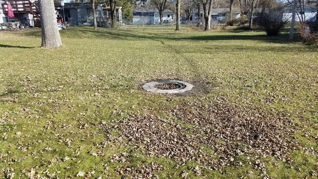 Backyard fire pit - 808 W 28th St