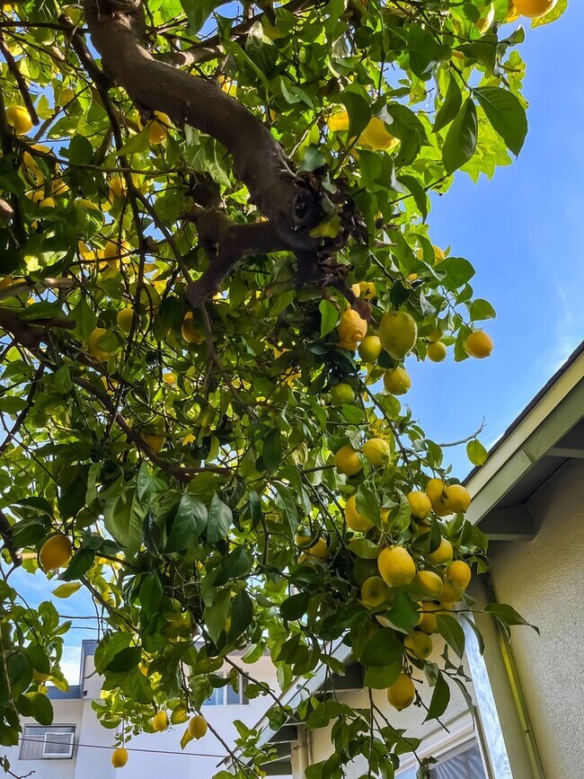 Building Photo - 3213 Atwater Ave