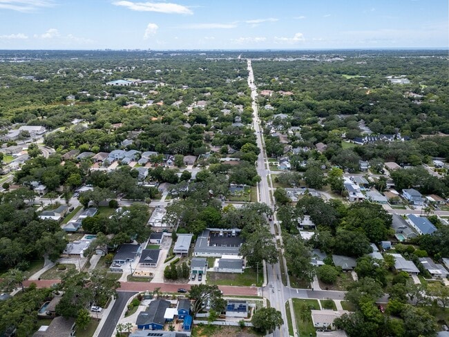 Building Photo - Charming 3BD/2BTH Home with Private Backyard in the Heart of Safety Harbor