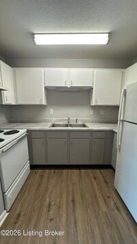 Building Photo - 4103 Blue Lick Ct