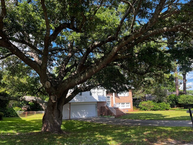 Building Photo - Home for Rent in the Avenues of Myrtle Beach