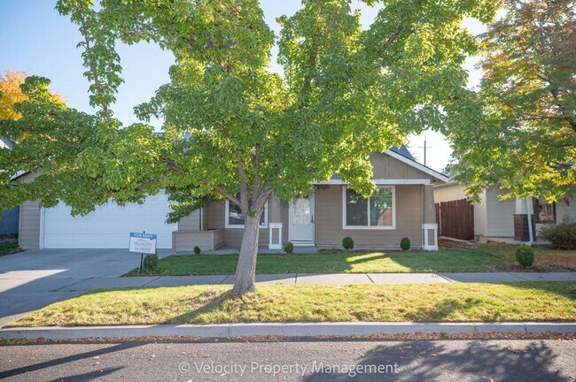 Building Photo - Light & Bright Single Level Home!