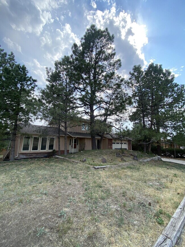 Building Photo - "Spacious 4-Bedroom Haven with 4 Full Baths in Charming Parker, CO - 2,952 Sq. Ft. of Comfort Awa...