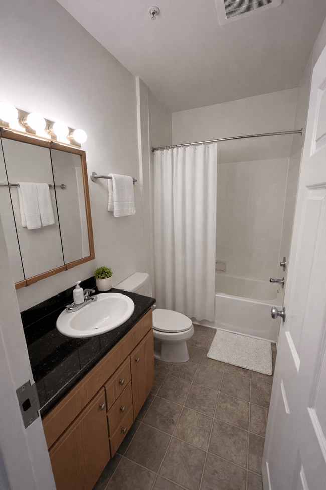 Building Photo - Evellien & Provence: Townhomes + Apartments Student Housing