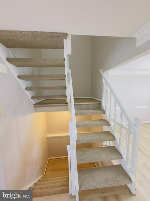 Building Photo - 3442 Belfry Ln