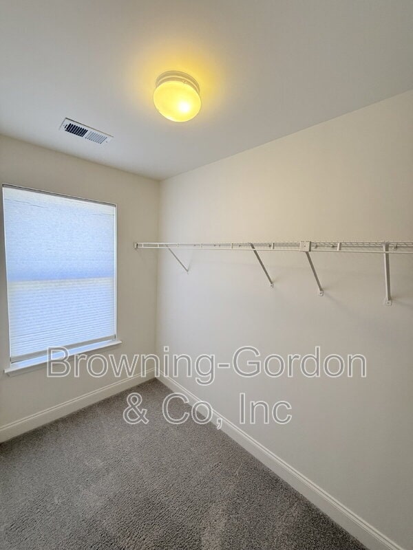 Building Photo - 1057 Woodbury Falls Dr