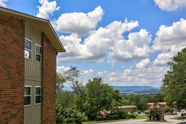 Building Photo - City View Apartments