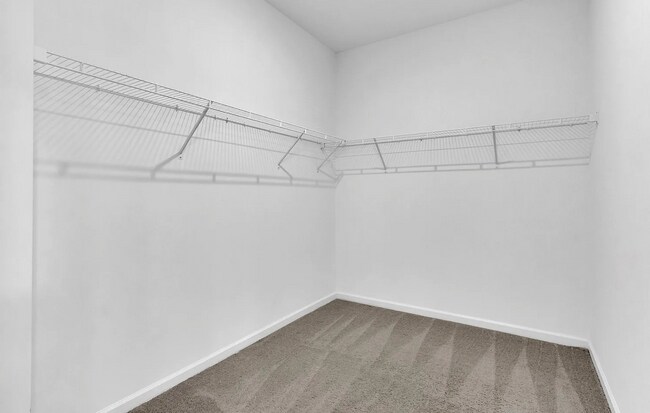 Building Photo - 534 Morgan Mdws Wy